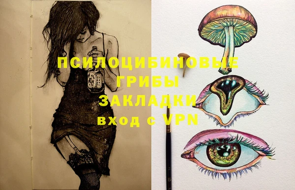 крисы Алексин