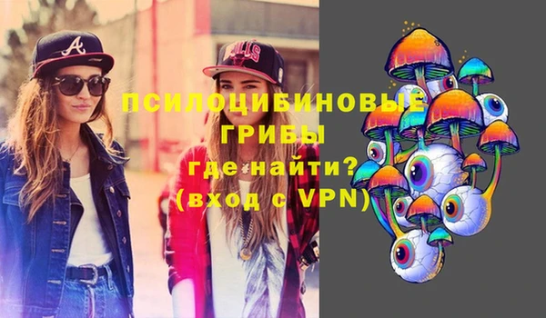 дживик Ростов
