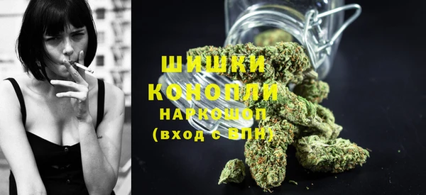 ПСИЛОЦИБИНОВЫЕ ГРИБЫ Рославль