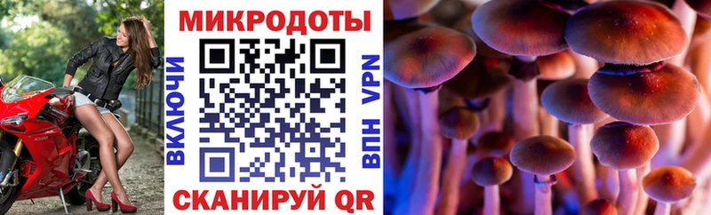 omg как зайти  Пущино  Галлюциногенные грибы MAGIC MUSHROOMS 